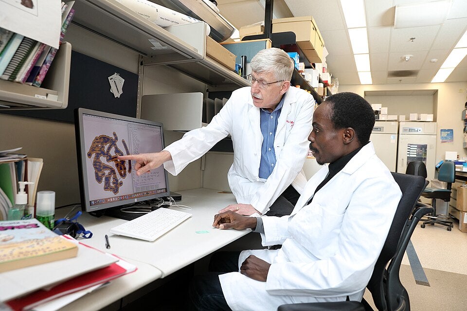 A man in a white lab coat and glasses points to a screen, conversing with another scientist who is sitting at the computer about a biological image there.