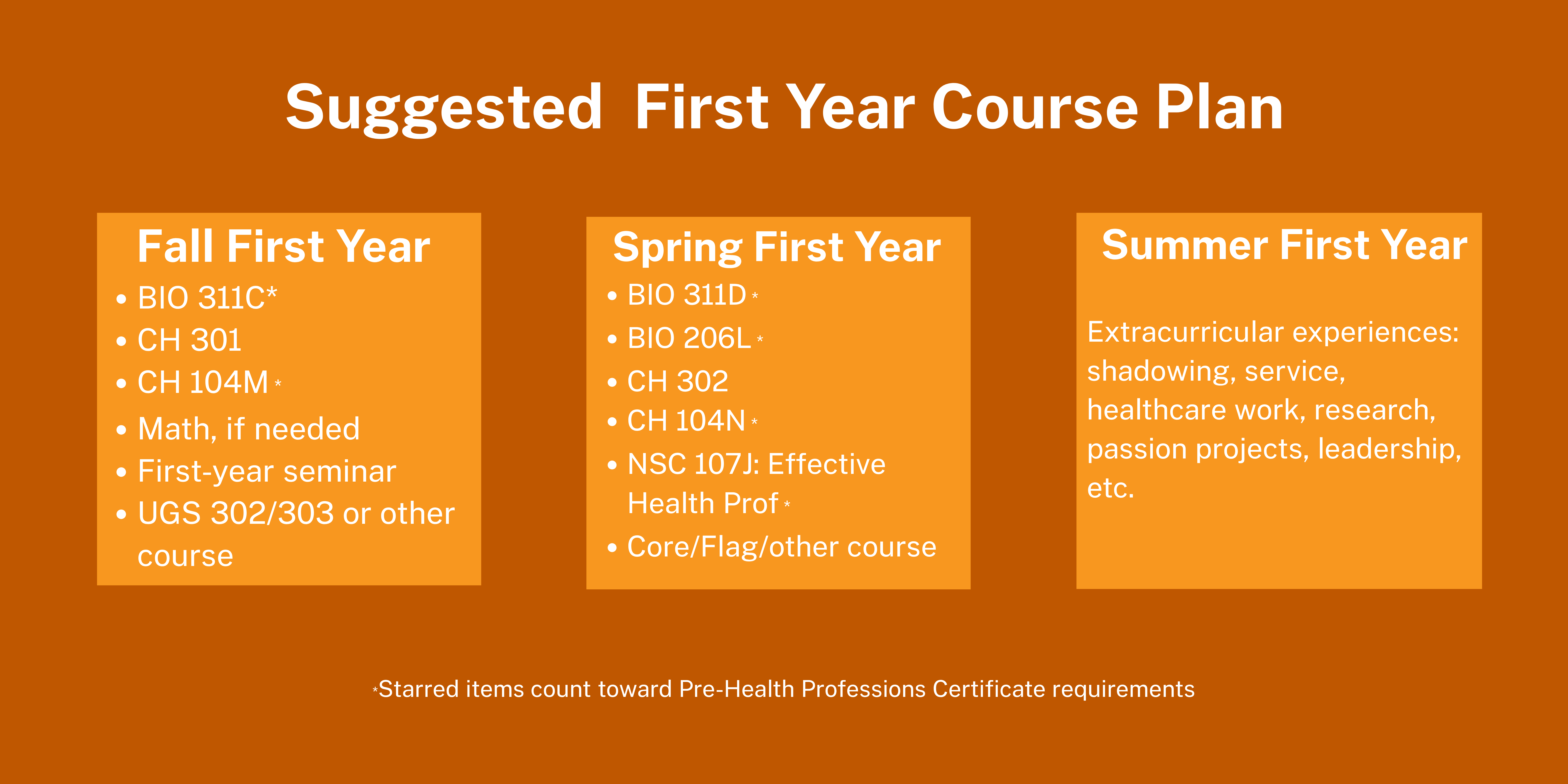 Suggested First Year Plan